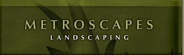 Metroscapes Landscaping